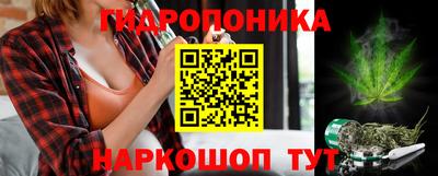 индика Протвино
