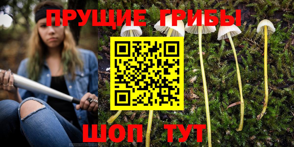 Псилоцибиновые грибы ЛСД  Вход с VPN  Выборг  Галлюциногенные грибы Cubensis 