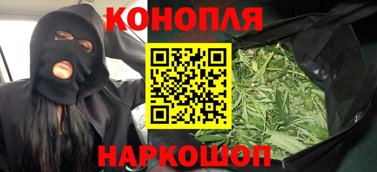 A-PVP Выборг